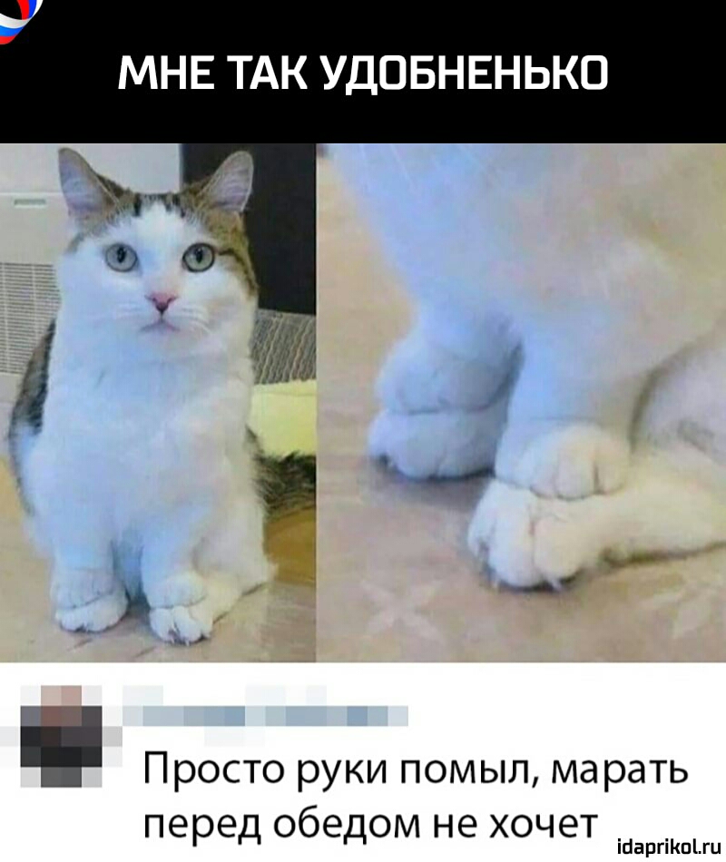 МНЕ ТАК УДОБНЕНЬКО Просто руки помыл марать перед обедеМ не ХОЧЭТ