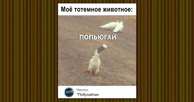 Моё тотемное животное