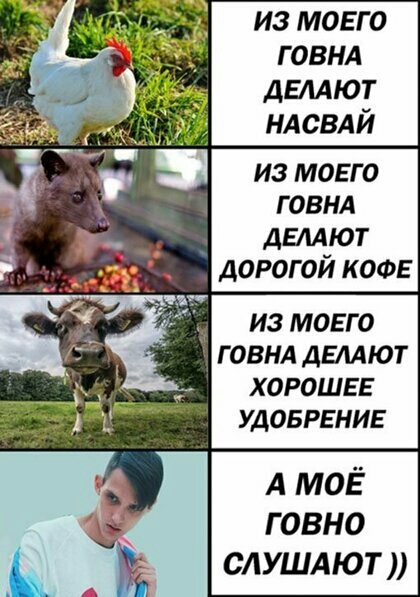 из моего говнд двмют ндсвдй из мовго говнл ДЕЛАЮТ дорогой кофе ИЗ МОЕГО Г ОВНА ДЕЛАЮТ ХОРОШЕЕ УДОБРЕНИЕ А моё говно слушдют