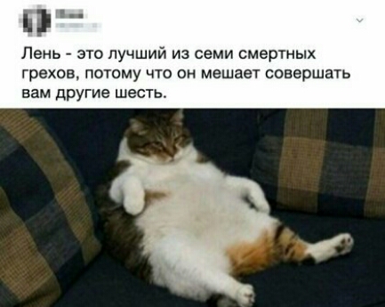 ШГ Пень это лучший из семи смертных грехов потому что он мешает совершать вам другие шесть