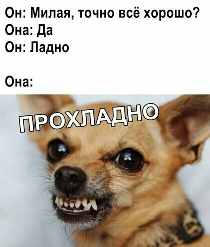 Он Милая точно всё хорошо Она да Он Ладно