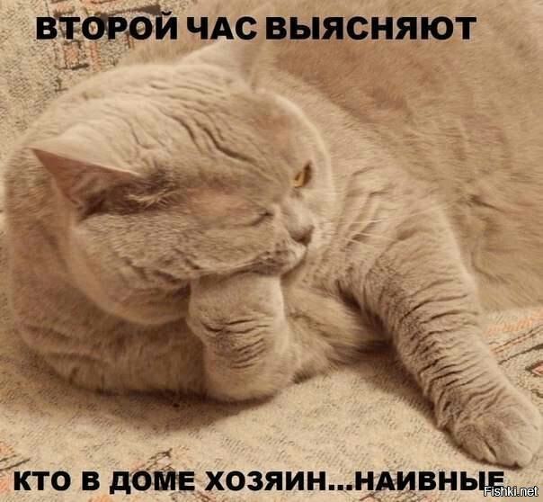 ВЁФБЙ чдс выясняют Тпо в лодке хозяинвнь