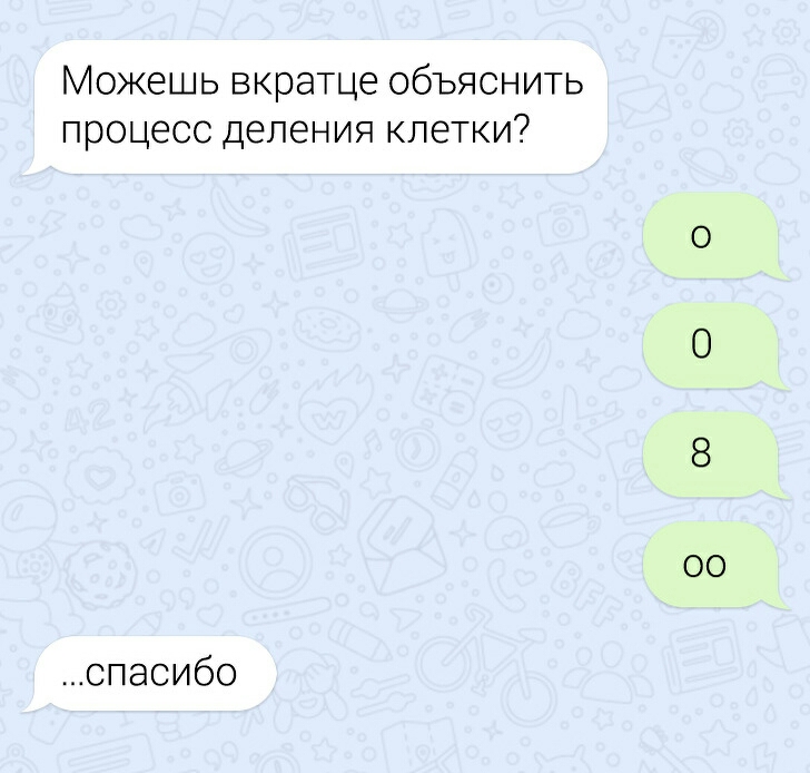 Можешь вкратце объяснить процессделенияклетки спасибо 00