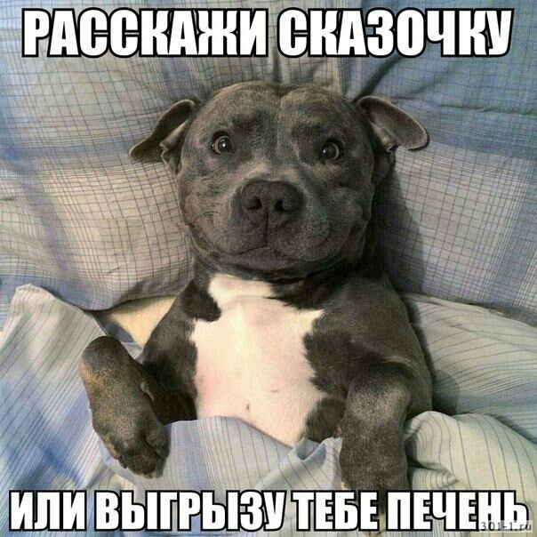 ШВЫРЫЗМ ТЕББПЕЧЕ