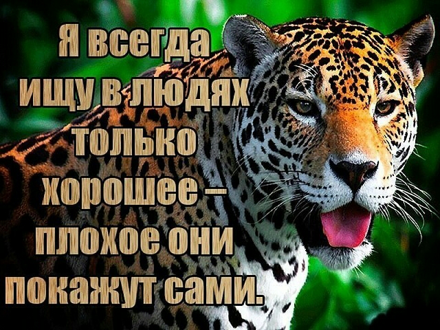 пвсегдаё _ 37 кг щ дольки ч цтійё Ё