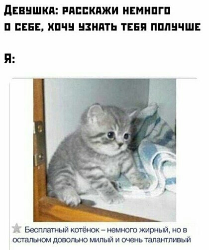 дЕЕНШКП РПЕШШЖИ НЕМНШП П ЦЕНЕ ШЧ ВЗНПТЬ ТЕЕП ПШШЧШЕ Бесплатный китенок немного жирный но в остальном девопьно милый и очень талантливый