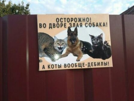 А КОТ Ы ВООБЩЕ МБМ