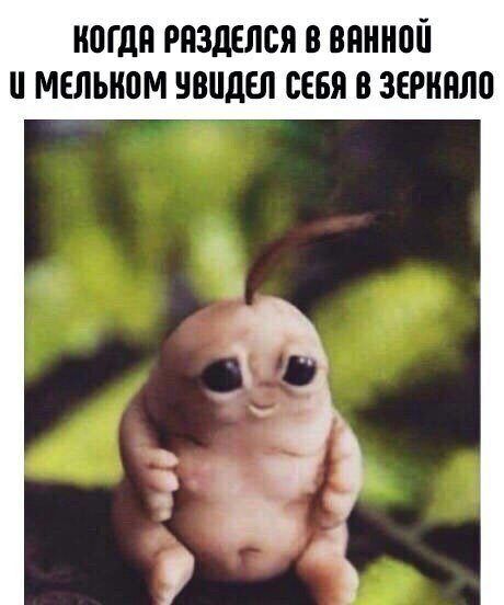 ЮГдП РПЗДЕЛСЯ В ВПННПЙ МЕЛЫЮМ ВЦДЕЛ СЕБЯ В ЗЕРНПЛП