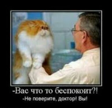 Вас что то беспокоит Нв твери доктор вы