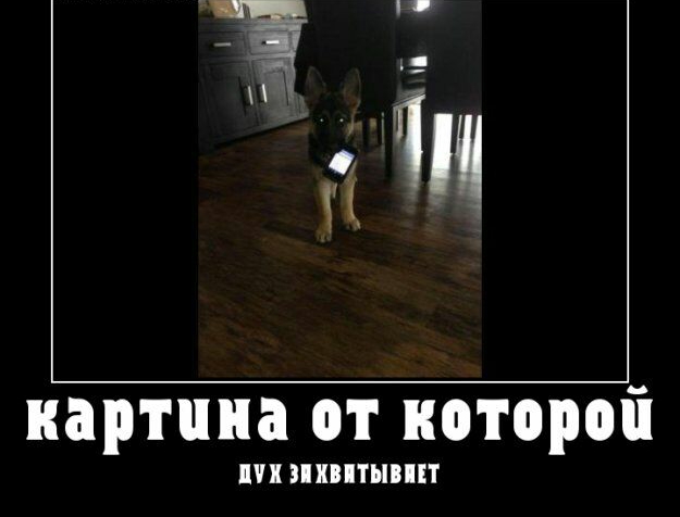 картина от которой ШП ЗППТЫПП