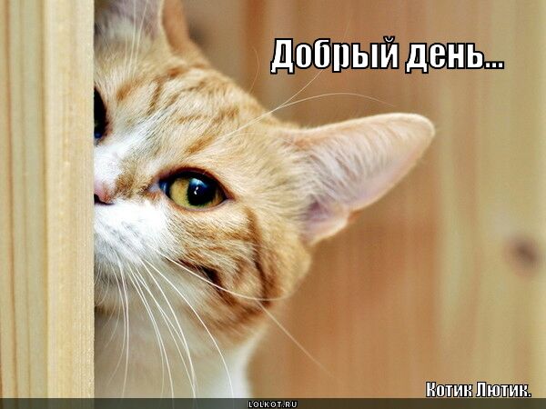 добпыи Г