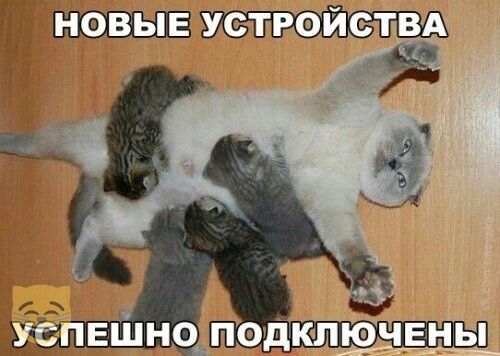 устюйствд