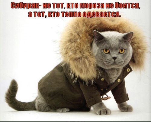 КЁШШМШШЩ ВШБ ПШП ЕПШ ШШШШЭШ ВШБ ШШШПЁШ ЕЩЁ ШПШ ПКВППШШ ШЩЭШПЕВШВШ