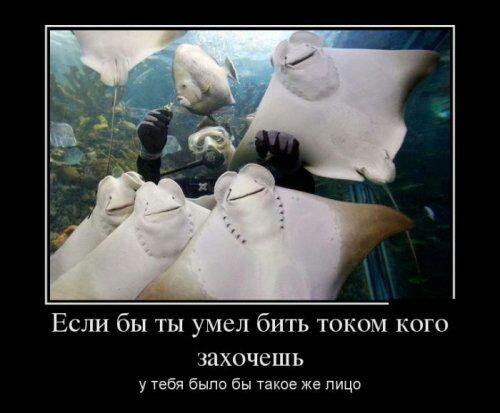 Если бы ты умел бить током кого захочешь у тебя были бы такие же лицо