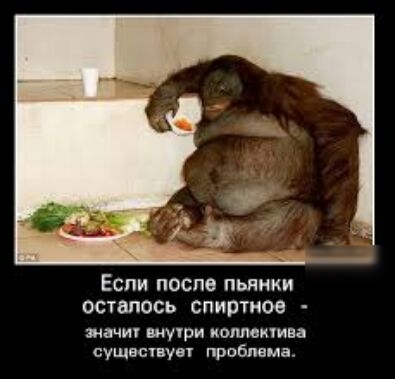 Если после пьянки осталось спиртное ада т ширм КПМОЫУИВД суши ув проблема