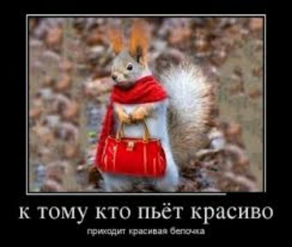 к тому кто пьёт красиво т паки п Батл