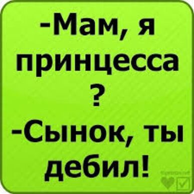 Мам я принцесса Сынок ты дебил
