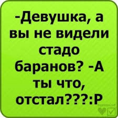 девушка а вы не видели стадо баранов А ты что отсталР