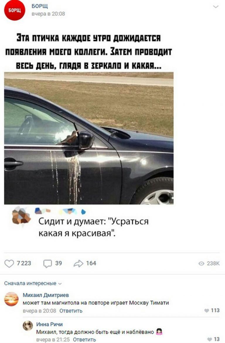 Эти птички кпждп ниш дпжшшп ппивлшия НПЕП кплмги шн пппнпдит шь динь глядя шими и киш скидки тгщ Сидит и думает Усраться какая я красивая 7223 Гі 39 У 164 Сначала интересные _ Михаил Дмитриев может там магнитола на повторе играет москву Тимати ЕС 55 Ответить Инна Ричи Михаил тогда должно быть ещё и наблевано Й _ Ответить 113 13