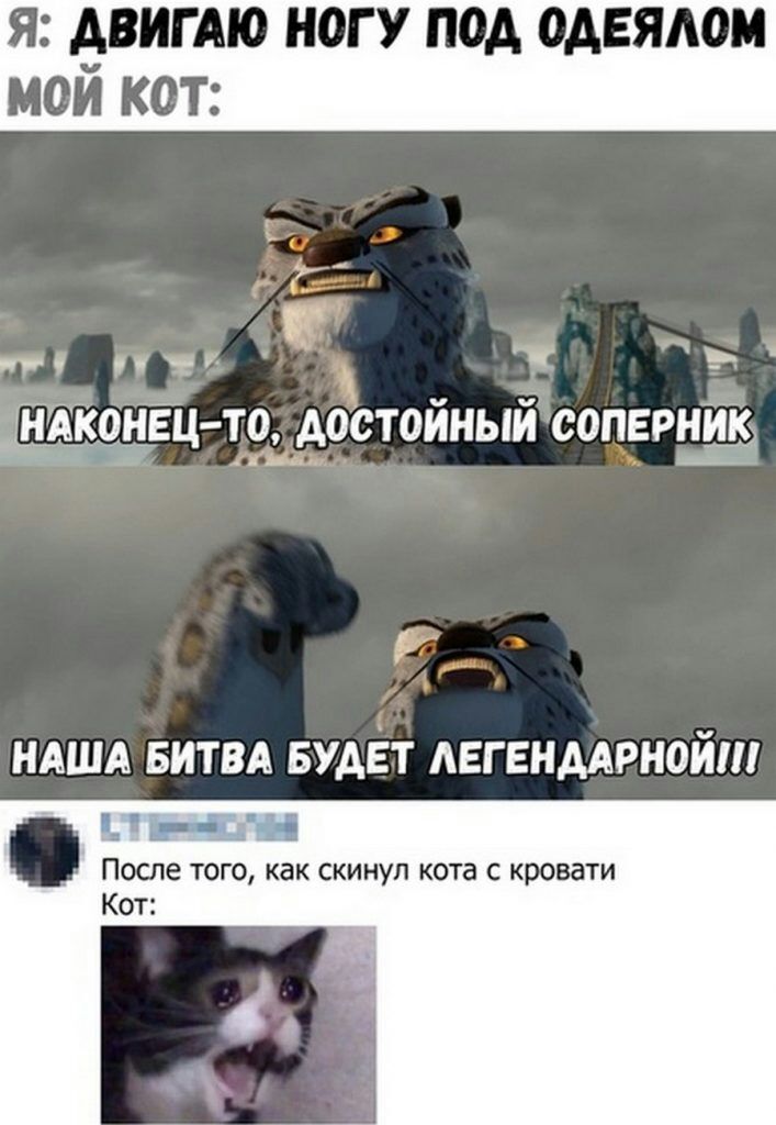 Я АВИГАЮ НОГУ ПОА ОАЕЯАОМ мой кот в у и Р НАША БИТВА БУДЕТ АЕГ ЕНААРНОЙШ г __ После того как скинул кота с кровати Кот