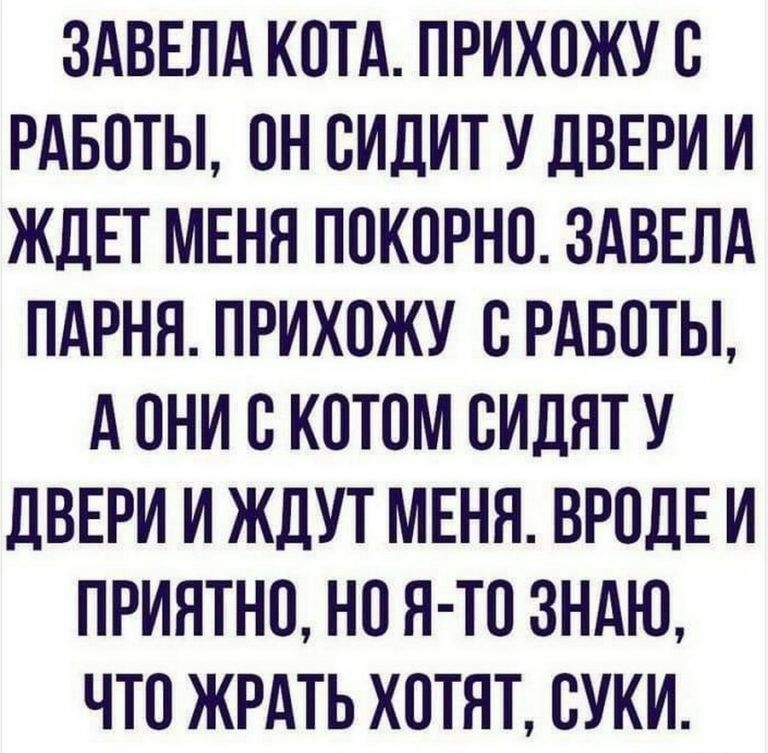 ЗАВЕЛА КОТА ПРИХПЖУ В РАБОТЫ ОН СИДИТ У ДВЕРИ И ЖДЕТ МЕНЯ ППКПРНП ЗАВЕЛА ПАРНЯ ПРИХОЖУ С РАБОТЫ А ОНИ С КОТОМ СИДЯТ У дВЕРИ И ЖДУТ МЕНЯ ВРОДЕ И ПРИЯТНО НО Я ТО ЗНАЮ ЧТП ЖРАТЬ ХОТЯТ СУКИ