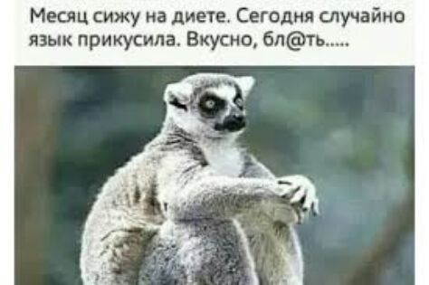 Месяц сижу на диете Сегодня случайно язык прихусила Вкусно 6лть