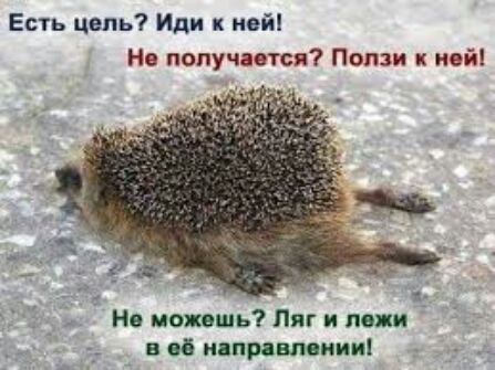 Есть цепь Иди к ней Не получается Попзи к ней 1_ Но можешь Пиг и по 7 в мир впиши