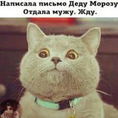 Написала письмо деду Моро Отдал мужу Жду