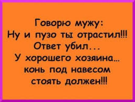 Говорю мужу Ну и пузо ты отрастил Ответ убил У хорошего хозяина конь под навесом стоять должен