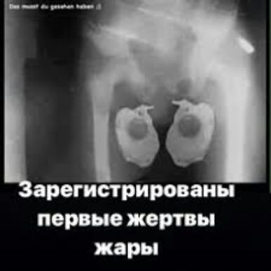 арогистрироваиы первые жертвы жары