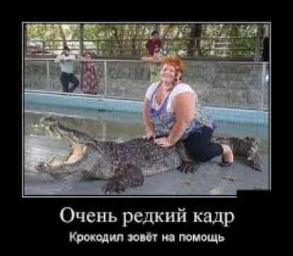 Очень редкий кадр Кро калия со и помощь