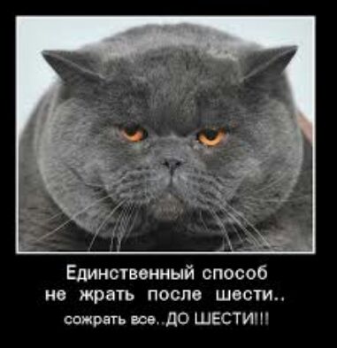 Единственный способ не жрать после шести ст жрец все дО ШЕСТИ