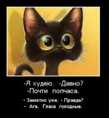 Я худею Давно7 Псчти полчаса Зщт уж Пр п Ап Гив тит