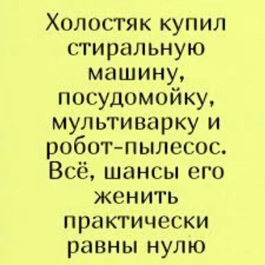 Холостяк купил стиральную машину посудомойку мультиварку и роботпылесос Всё шансы его женить практически равны нулю