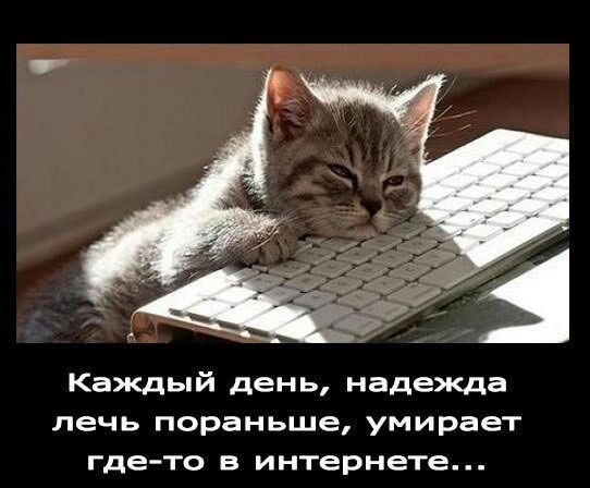 Каждый день надежда печь пораньше умирает где то В интернете