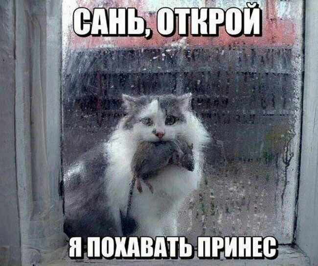 и И ИШШВМЬ ИРИИЮЁь тчкт
