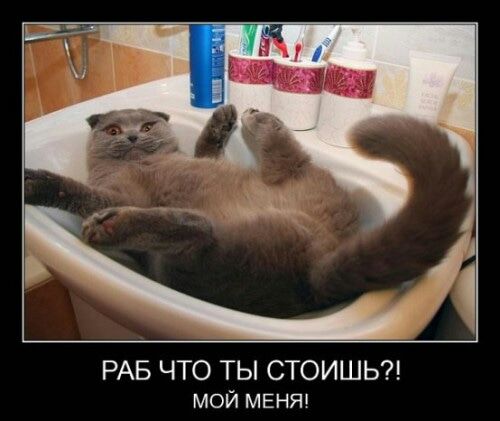 РАБ ЧТО ТЫ СТОИШЬ мой МЕНЯ