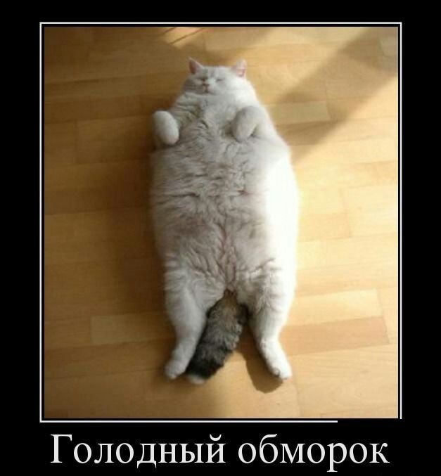 Голодный обморок