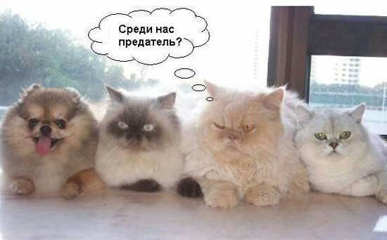 _ 1 Среди нас предмет _