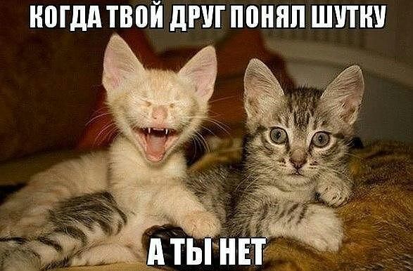 МДА ТВВЙ ДРУГ ПШШП ШШШ