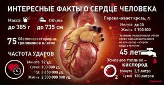 д _ в ПММ Порции нп тиц и И по шт ло735сп 121 7 5 ур 337333 _ш ЧАСТОТА тддгон 5 лей оцинк гимн п пуд с тшп ГИ Зицж _ ж киоотп 1