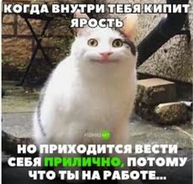 сп птн Ы что ты ид цвет