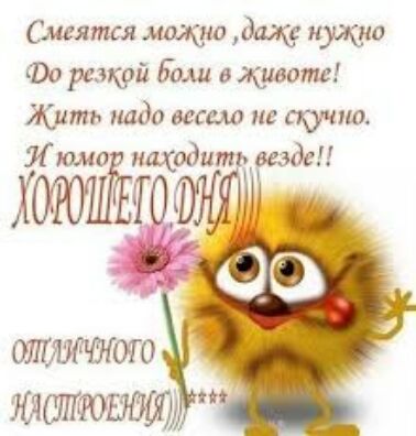Циияткя ищю дид тиц до ра щий дми кипотс Жить надо дат нг шунт Люмп ыхппитцвгиіи оюиіът ШГ ЁЧЁНОЮ штат