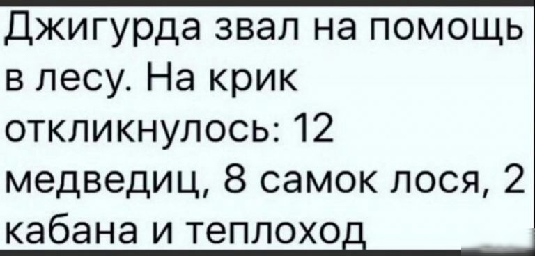 Джигурда звал на помощь в лесу На крик откликнулось 12 медведиц 8 самок лося 2 кабана и теплохо