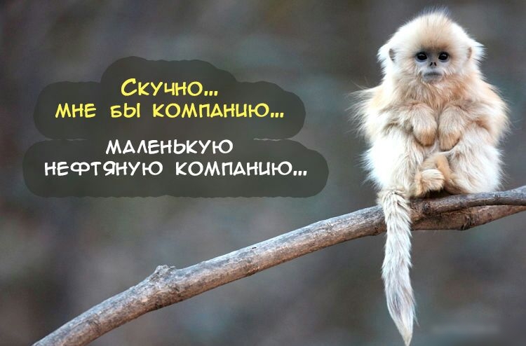 СКУЧНО МНЕ БЫ КОМПАНИЮ МААЕНЬКУЮ НЕФТЧНУЮ КОМПАНИЮ