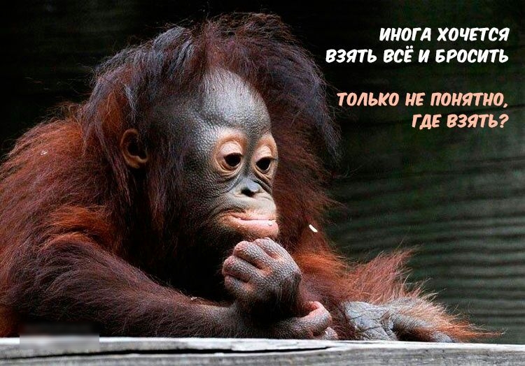ин_гл хочется взять ее и Бросить ТОЛЬКО НЕ понятна ГДЕ ВЗЯТЬ
