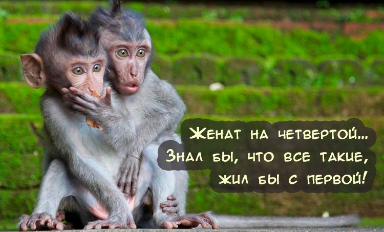 _ ъ о _ ч МА д ЖЕНАТ НА ЧЕТВЕРТОЩ зщщ