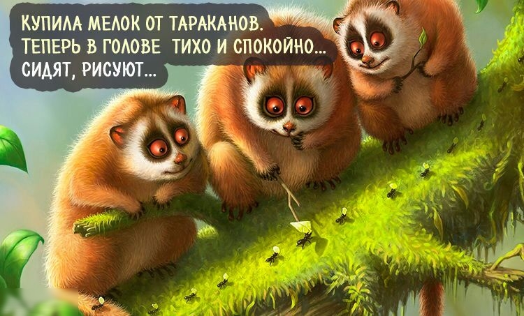 КУПИАА ЕАбК ОТ ТАРАКАМОВ ТЕПЕРЬ ВГОАОВЕ тихц И спокойно СИАЯТ РИСУЮТ