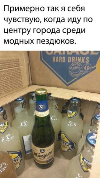 Примерно так я себя чувствую когда иду по центру города среди модных пездюков