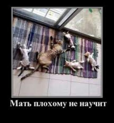 Мать плохому не научит